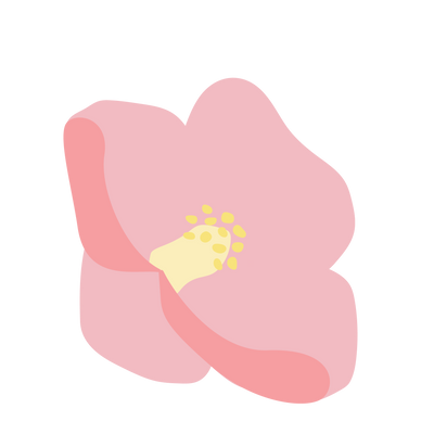 Camellia Oil