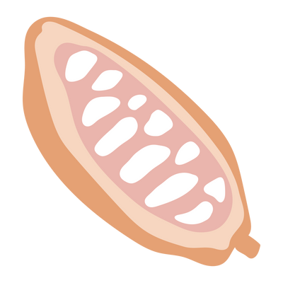 Cocoa Seed