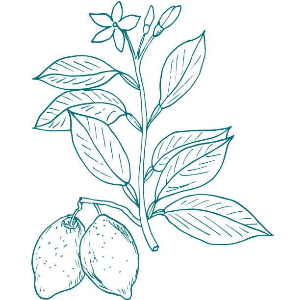 Organic Lemon Oil from Gaia Skin Naturals, perfect for rejuvenating skincare routines.